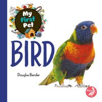 Cover image for Bird