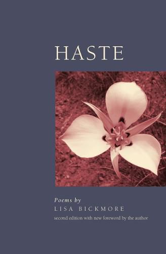 Cover image for Haste