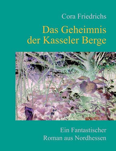 Cover image for Das Geheimnis der Kasseler Berge: Ein fantastischer Roman aus dem marchenhaften Nordhessen