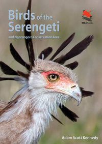 Cover image for Birds of the Serengeti: And Ngorongoro Conservation Area