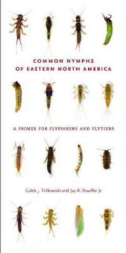 Cover image for Common Nymphs of Eastern North America: A Primer for Flyfishers and Flytiers