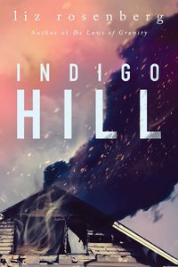 Cover image for Indigo Hill: A Novel