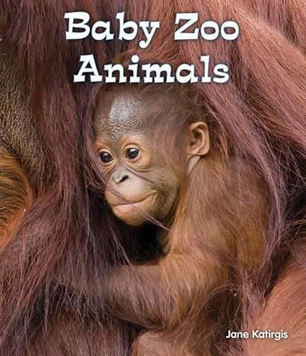 Cover image for Baby Zoo Animals