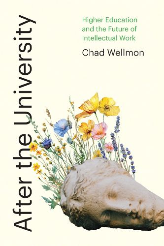 Cover image for After the University