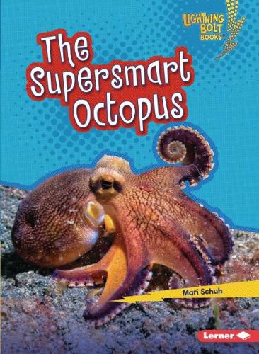 Cover image for The Supersmart Octopus