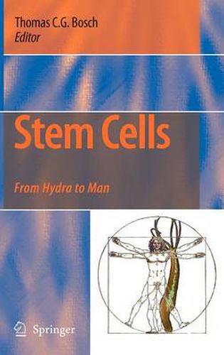 Cover image for Stem Cells: From Hydra to Man