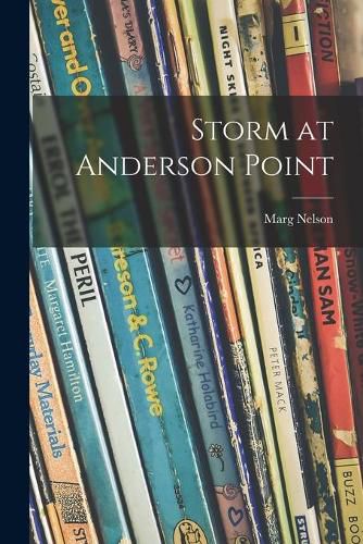 Cover image for Storm at Anderson Point