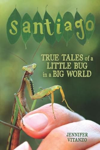 Cover image for Santiago: True Tales of a Little Bug in a Big World