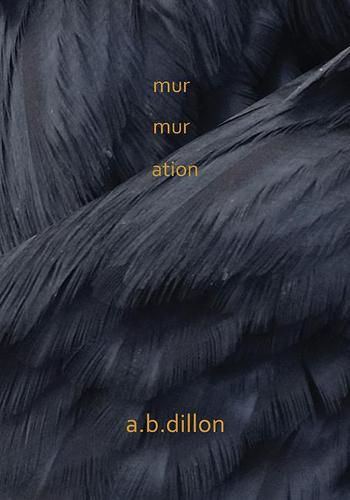 Cover image for Murmuration