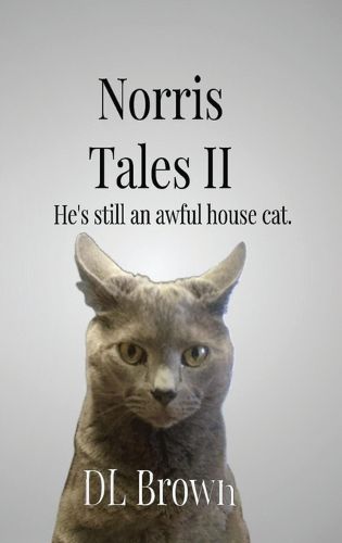 Cover image for Norris Tales II