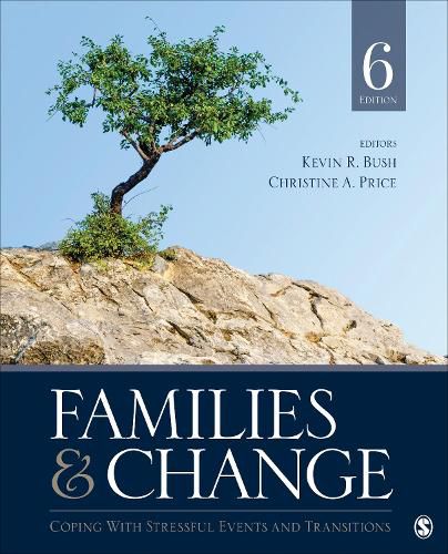 Cover image for Families & Change: Coping With Stressful Events and Transitions