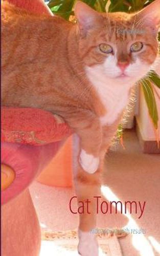 Cover image for Cat Tommy: Kidnapping with results