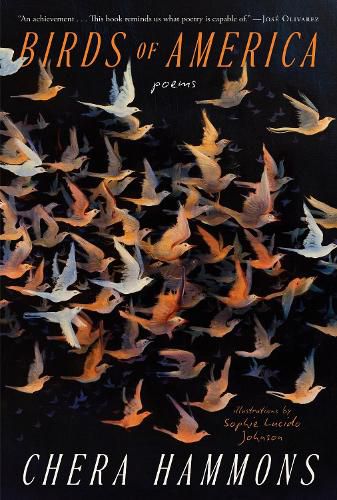 Cover image for Birds of America