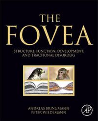 Cover image for The Fovea: Structure, Function, Development, and Tractional Disorders