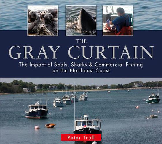 Cover image for Gray Curtain