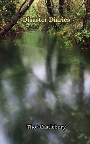 Cover image for Disaster Diaries