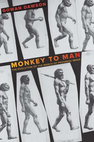 Cover image for Monkey to Man