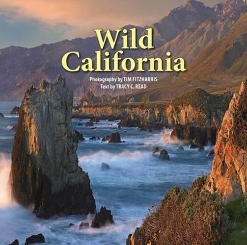 Cover image for Wild California