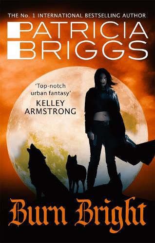 Burn Bright: An Alpha and Omega Novel: Book 5