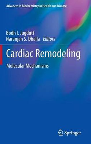 Cover image for Cardiac Remodeling: Molecular Mechanisms