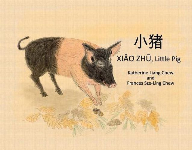 Xiao Zhu, Little Pig: Chinese and English version