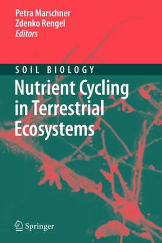 Cover image for Nutrient Cycling in Terrestrial Ecosystems