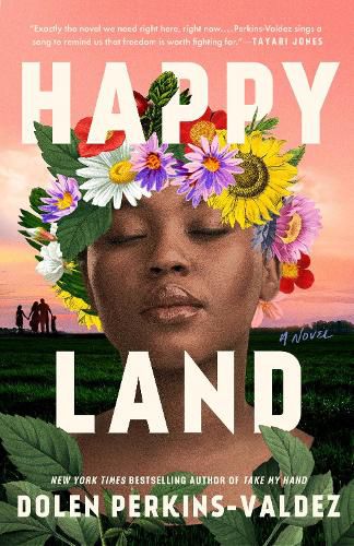 Cover image for Happy Land