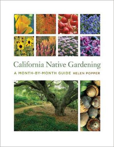 Cover image for California Native Gardening: A Month-by-Month Guide