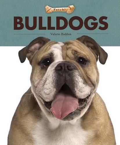 Cover image for Bulldogs