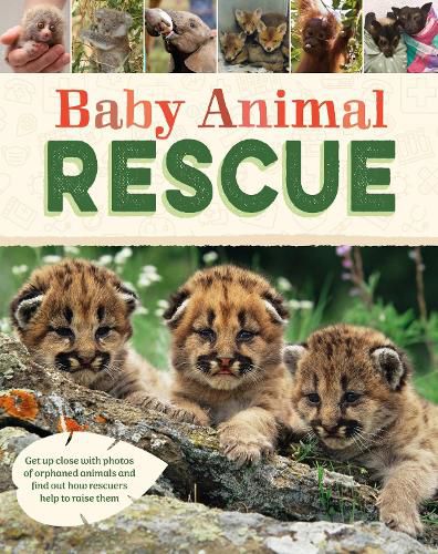 Cover image for Baby Animal Rescue