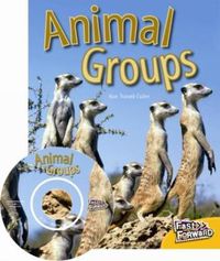 Cover image for Animal Groups