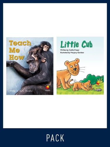 Cover image for Flying Start Guided Reading Pack Level 9, Pack 4: Paired student books (6x6) and lesson plan (1)