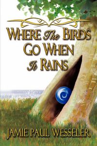 Cover image for Where the Birds Go When It Rains