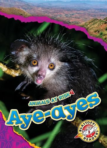 Aye-Ayes