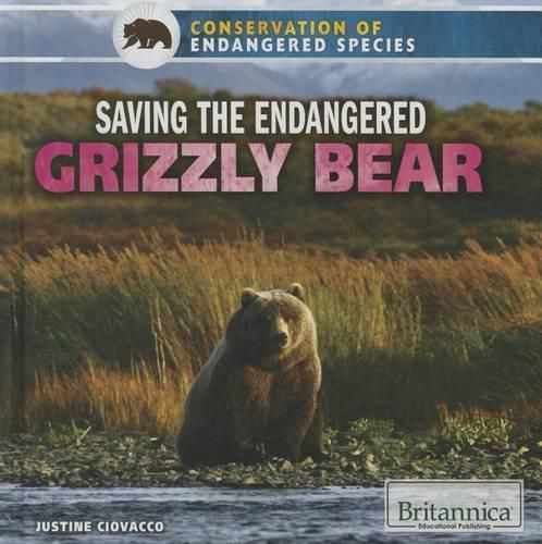 Cover image for Saving the Endangered Grizzly Bear