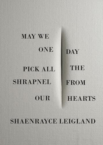 Cover image for May We One Day Pick All the Shrapnel From Our Hearts