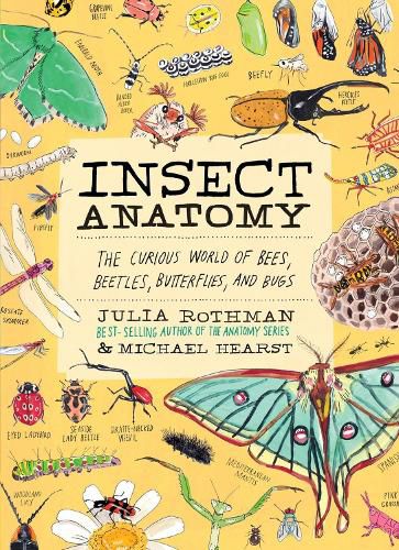 Cover image for Insect Anatomy