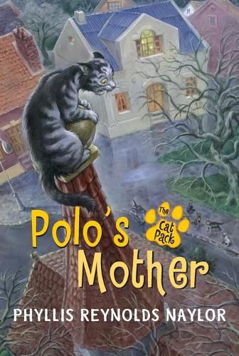 Cover image for Polo's Mother the Cat Pack