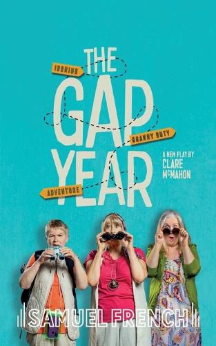 Cover image for The Gap Year