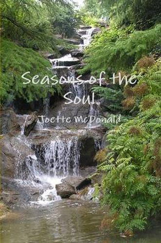 Cover image for Seasons of the Soul