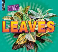 Cover image for Leaves