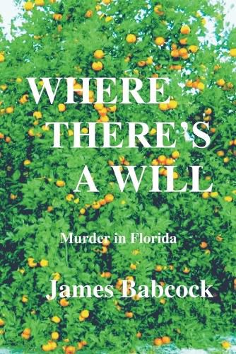 Cover image for Where There's a Will