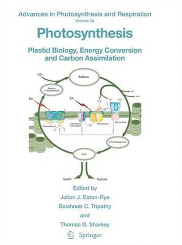 Cover image for Photosynthesis: Plastid Biology, Energy Conversion and Carbon Assimilation