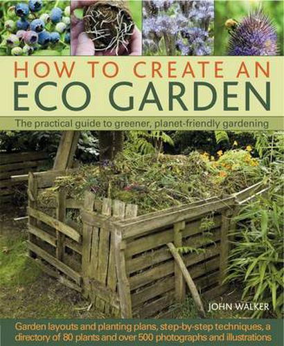 Cover image for How to Create an Eco Garden