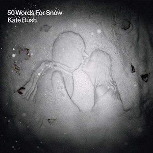 Cover image for 50 Words For Snow