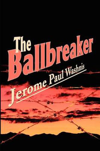 Cover image for The Ballbreaker