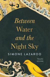 Cover image for Between Water and the Night Sky