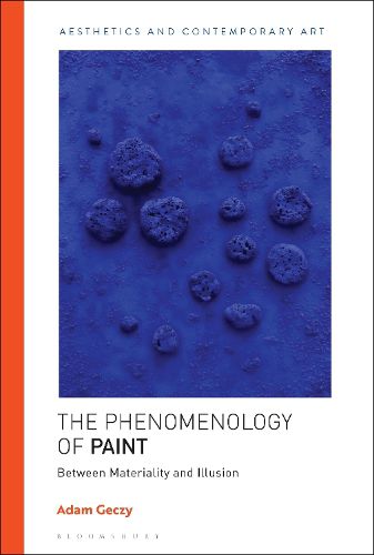 Cover image for The Phenomenology of Paint