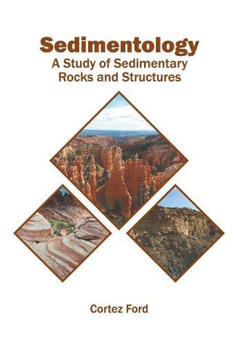 Cover image for Sedimentology: A Study of Sedimentary Rocks and Structures