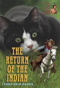 Cover image for The Return of the Indian